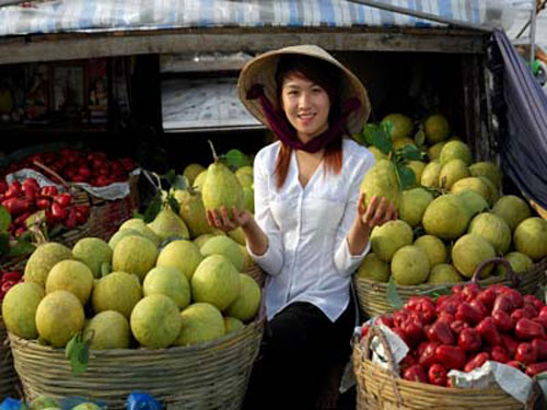 Những miền gi đẹp nổi tiếng nhất Việt Nam 4