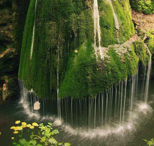Thc nước tại khu rừng Romania lại gy ấn tượng bởi vẻ độc đo của từng ln nước