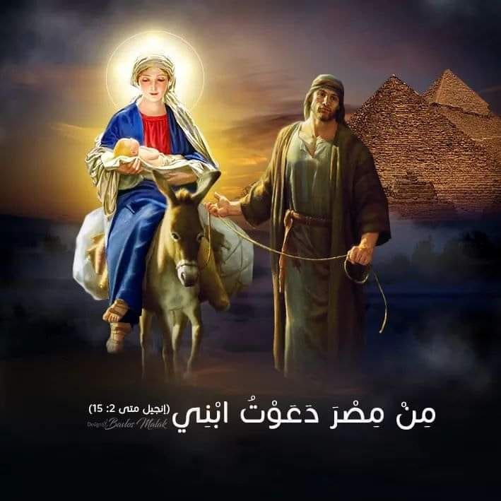 كل عام وانتم بخير غدا عيد دخول السيد المسيح أرض مصر | Game of thrones  characters, Character, Movie posters