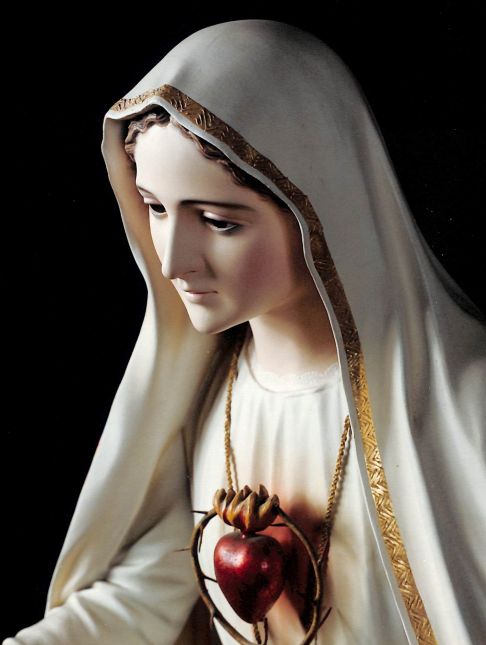 Devotion to the Immaculate Heart of Mary, an essential part of the message  of Fatima (13th June) - Plinio Correa de Oliveira